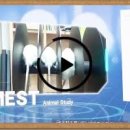 예스메디 이미지