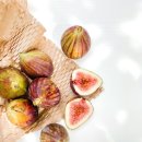 도원케미칼 이미지