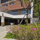 양수다정의원 이미지