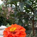 호연농장 이미지