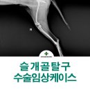 튼튼동물병원 이미지