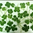 고향부동산중개사무소 이미지