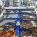 농수산물도매시장 채소1동_1 | 대구농수산물도매시장회맛집 동남수산 / 우럭, 밀치 회포장 후기!