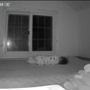 펜션 별헤는밤1 이미지