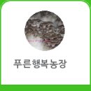 푸른행복농장 이미지