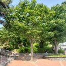 홍련봉공원 이미지