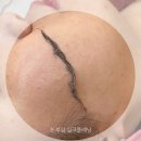 노블리즈 이미지
