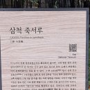 해파랑길 32코스 [맹방 해수욕장&이사부 우산국 복속 출항지 기념비&실직군왕비릉&죽서루&장미공원&삼척항 지진해일 안전타워] (1/3) 이미지