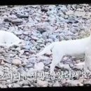 펜션 굿타임 네이버블로그
