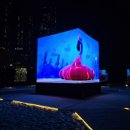 2025 대덕물빛축제 이미지