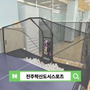 라이프 탁구클럽 이미지