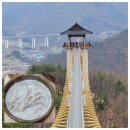 도심건강길 1길 | 문경에서 하루 알차게 봉명산 출렁다리와 현지인 맛집 문경새재 산책길 당일치기