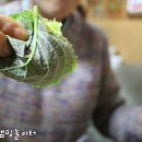 뽀빠이족발 이미지