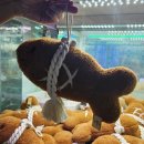 라라랜드(영통점) 이미지