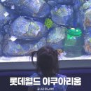 32개월 아기 롯데월드 아쿠아리움 관람후기 주차 할인 벨루가