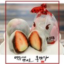 홍만당 이미지