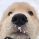 후만로 | 겨울 춘천 당일치기 여행 리얼 후기｜날씨 변수 꼭 체크하세요!