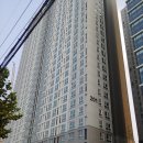 서현 행정사 사무소 이미지