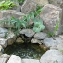 옹달샘농장 이미지