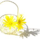 영숙이네 이미지