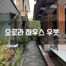 오로라 하우스(Aurora house) | 발리 우붓 혼자 여행 숙소 추천 오로라 하우스 솔직 후기