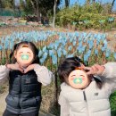 제주도 서귀포시 &#39;제주 유리박물관&#39; 여행 후기