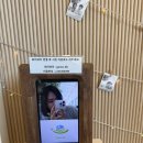 로컬푸드 사거리 | [김포 아이와 가볼만한곳] 김포 게으른농부 입장료포함&amp;체험 리얼후기