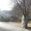 신복4리펜션단지.중미산휴양림 네이버블로그