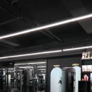 피트니스 넘버원 이미지