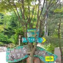 아버지의 숲 산정캠프 이미지