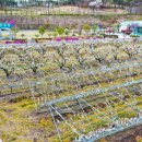 과일나라테마공원3 이미지