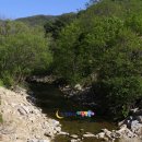 정자리농장 이미지