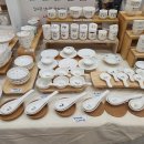 펫&캣 | 송도 마이캣페어 펫박람회, 금요일 캣페어 방문 후기