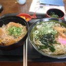 부산백페커스
