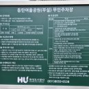 여울어린이공원 | 🍂동탄 여울공원 &amp; 자라뫼공원 가을 가족 나들이 추천 ㅣ 어린이 놀이터