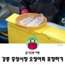 강릉 중앙시장 l 오징어회 포장 (가격, 주차)