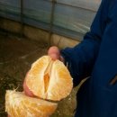 청룡농장 이미지