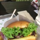 ＜저도 Shake Shack Burger ＞🌠아스트로의 하늘 #38 이미지