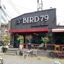 버드79