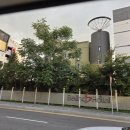 벨리노에스 호텔 이미지