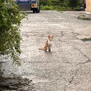 핑키펑키 전북대점 이미지