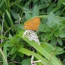 금강공원3 이미지