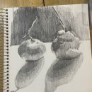 연필풍경스케치 (중급) | 60세, 그림배우기 1-5차: 평가와 방향