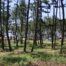 세이브 존 이미지