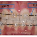 신림올바른치과의원 이미지