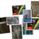 진원체육관 이미지