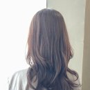 윤서헤어 - 전주시 덕진구 | 윤서헤어