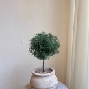 바른정한의원 이미지