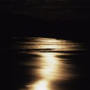 물흐르듯 이미지