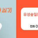 유성책임공인중개사사무소 이미지